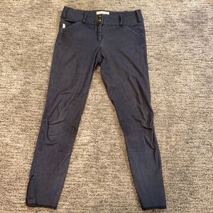 taylored sportsman breeches